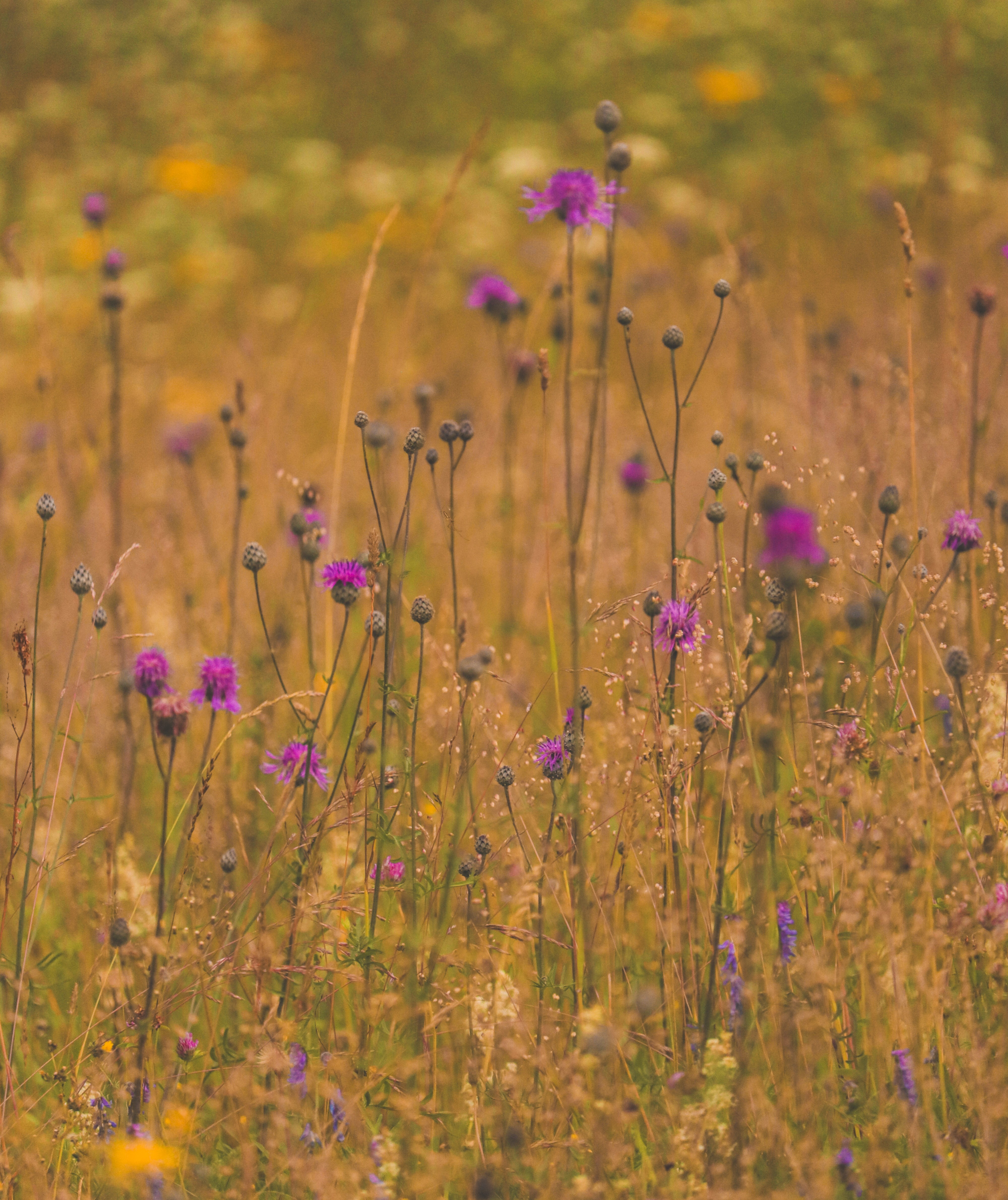 “Awaken & Connect: A Self-Love Retreat”